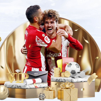 功勋归来！热刺官方：阿尔德韦雷尔德将现场观战欧冠比赛